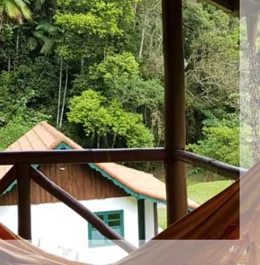 hospedagem sitio virtuoso hospedagem Birdwatching Observacao Passaros Aves Brasil Rio janeiro America Sul South